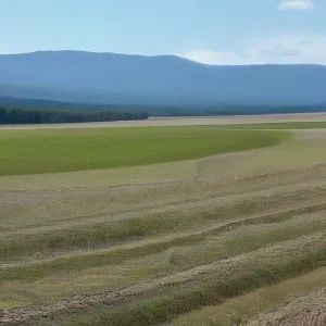 Экология на объектах генерации: как управлять воздействием на воздух, воду и почву